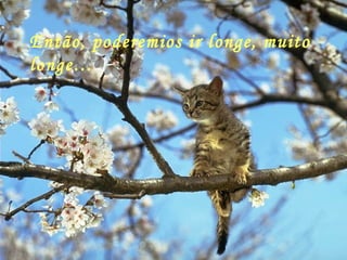 Então, poderemios ir longe, muito longe… 