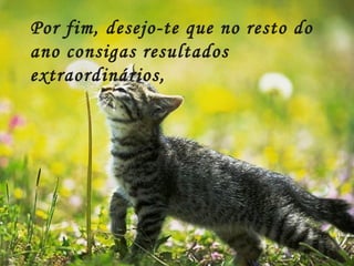 Por fim, desejo-te que no resto do ano consigas resultados extraordinários,  