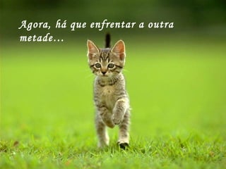 Agora, há que enfrentar a outra metade… 