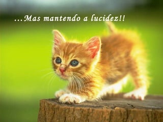 … Mas mantendo a lucidez!! 