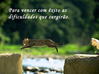Para vencer com êxito as dificuldades que surgirão. 