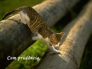 Com prudência,  