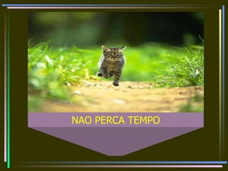 NAO PERCA TEMPO 