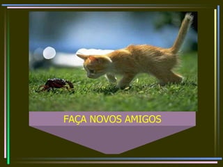 FAÇA NOVOS AMIGOS 