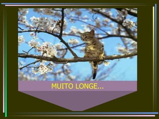 MUITO LONGE... 