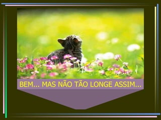 BEM... MAS NÃO TÃO LONGE ASSIM...  