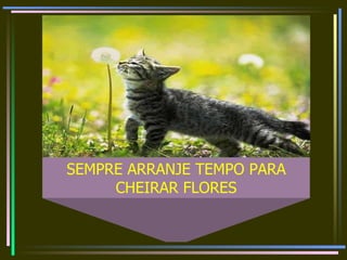 SEMPRE ARRANJE TEMPO PARA CHEIRAR FLORES 