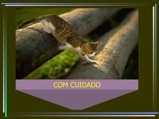 COM CUIDADO 