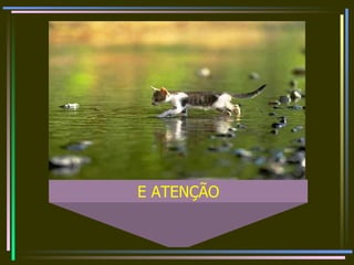 E ATENÇÃO 