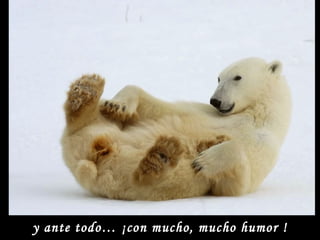 y ante todo…  ¡ con mucho, mucho humor ! 