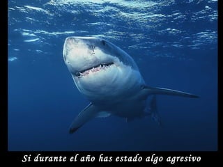 Si durante el año has estado algo agresivo 