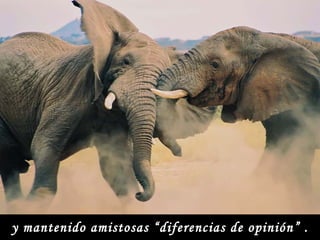 y mantenido amistosas “diferencias de opinión” . 