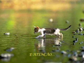 E ATENÇÃO… 