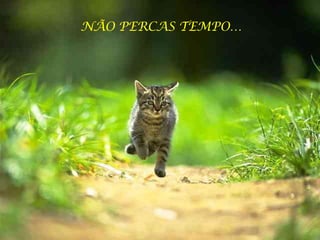 NÃO PERCAS TEMPO… 