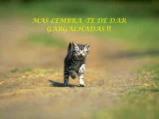 MAS LEMBRA -TE DE DAR GARGALHADAS  !! 