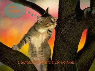 E SERÁS CAPAZ DE IR LONGE… Vamos conseguir!... 