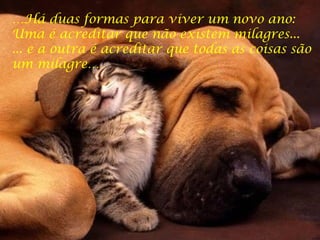 … Há duas formas para viver um novo ano: Uma é acreditar que não existem milagres... ... e a outra é acreditar que todas as coisas são um milagre… 