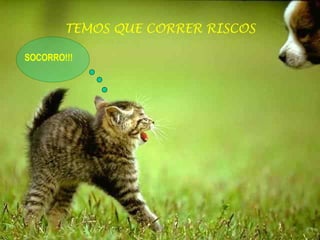 TEMOS QUE CORRER RISCOS SOCORRO!!! 