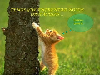 TEMOS QUE ENFRENTAR NOVOS OBSTÁCULOS… Estamos quase lá… 