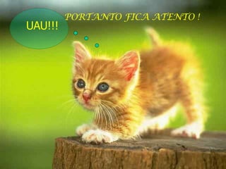 PORTANTO FICA ATENTO ! UAU!!! 