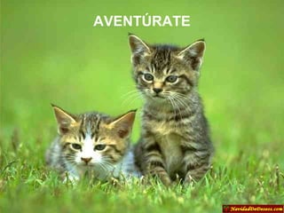 AVENTÚRATE 