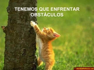 TENEMOS QUE ENFRENTAR OBSTÁCULOS 