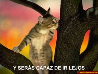 Y SERÁS CAPAZ DE IR LEJOS 