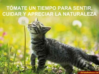 TÓMATE UN TIEMPO PARA SENTIR, CUIDAR Y APRECIAR LA NATURALEZA 