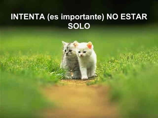 INTENTA (es importante) NO ESTAR SOLO 