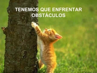 TENEMOS QUE ENFRENTAR OBSTÁCULOS 