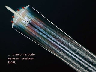 ...  o arco-íris pode estar em qualquer lugar, 