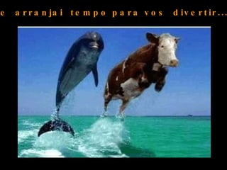 ..e  arranjai  tempo para vos  divertir... 