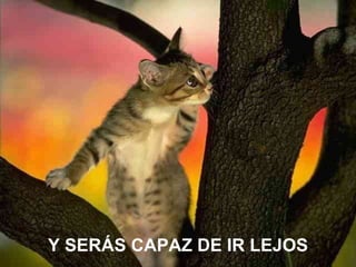Y SERÁS CAPAZ DE IR LEJOS 