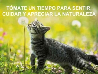 TÓMATE UN TIEMPO PARA SENTIR, CUIDAR Y APRECIAR LA NATURALEZA 