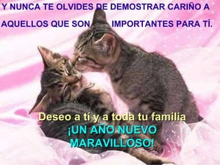 Y NUNCA TE OLVIDES DE DEMOSTRAR CARIÑO A AQUELLOS QUE SON  IMPORTANTES PARA TÍ. Deseo a tí y a toda tu familia ¡UN AÑO NUEVO MARAVILLOSO! 