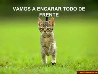 VAMOS A ENCARAR TODO DE FRENTE 