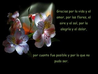 Gracias por la vida y el

amor, por las flores, el
aire y el sol, por la
alegría y el dolor,

por cuanto fue posible y por lo que no
pudo ser.

 