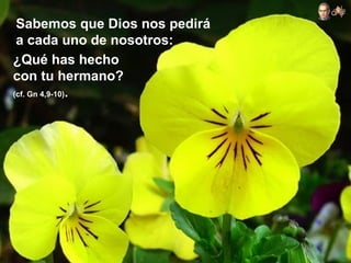 Sabemos que Dios nos pedirá
a cada uno de nosotros:
¿Qué has hecho
con tu hermano?
(cf. Gn 4,9-10).
 