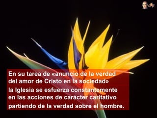 En su tarea de «anuncio de la verdad
del amor de Cristo en la sociedad»
la Iglesia se esfuerza constantemente
en las acciones de carácter caritativo
partiendo de la verdad sobre el hombre.
 