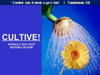 CULTIVE! APENAS O QUE VOCÊ RECEBEU DE BOM "Examinai tudo. Retende o que é bom."  I Tessalonicenses 5:21 