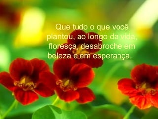 Que tudo o que você plantou, ao longo da vida, floresça, desabroche em beleza e em esperança.   