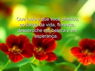 Que tudo o que você plantou, ao longo da vida, floresça, desabroche em beleza e em esperança.   