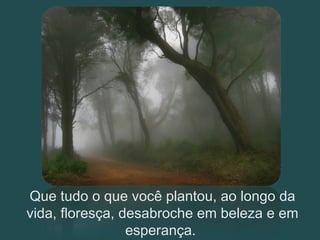 Que tudo o que você plantou, ao longo da vida, floresça, desabroche em beleza e em esperança.   