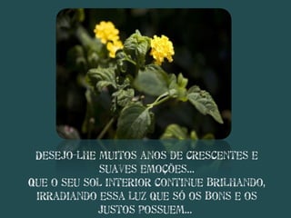 Desejo-lhe muitos anos de crescentes e suaves emoções... Que o seu sol interior continue brilhando, irradiando essa luz que só os bons e os justos possuem...  