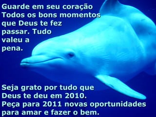 Guarde em seu coração Todos os bons momentos que Deus te fez passar. Tudo valeu a pena. Seja grato por tudo que Deus te deu em 2010. Peça para 2011 novas oportunidades para amar e fazer o bem. 