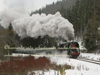 Observando cada arbusto,cada riacho,beirais de estradas e tons mutantes das paisagens. 