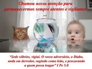 Chamou nossa atenção para
permanecermos sempre atentos e vigilantes
                 ...




  “Sede sóbrios, vigiai. O vosso adversário, o Diabo,
 anda em derredor, rugindo como leão, e procurando
           a quem possa tragar” I Pe 5:8
 