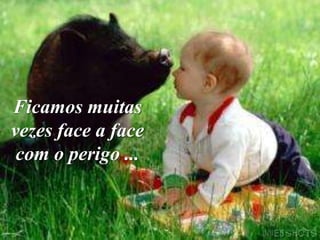 Ficamos muitas
vezes face a face
 com o perigo ...
 