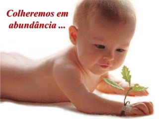 Colheremos em
abundância ...
 