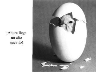¡Ahora llega
   un año
  nuevito!
 